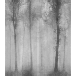 Dream Foggy Cross Match