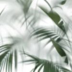 Sample Dream Sense