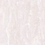 royal-ivory-aximer