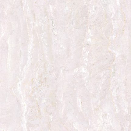 royal-ivory-aximer